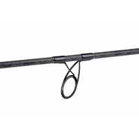 Skeater Extracta Catfish 10ft 4.50lb